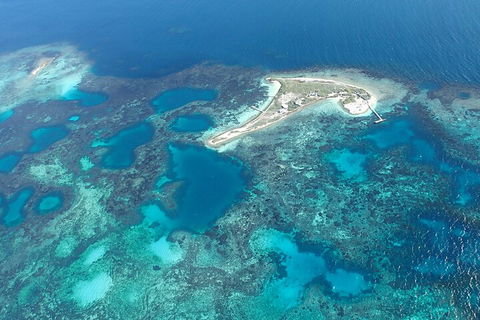 Shipwreck Special Nature Tour/Half Day Tour - Pubs Perth 5