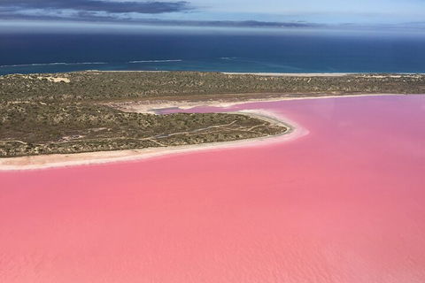 70-minute Pink Lake Scenic Flight - Pubs Perth 3