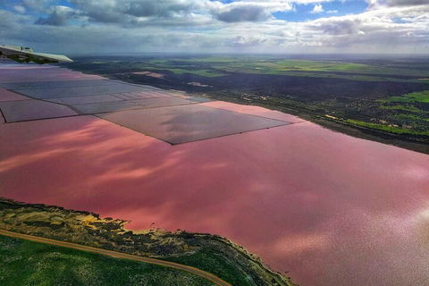 Kalbarri, Pink Lake And Abrolhos Islands Nature Tour - Pubs Perth 1