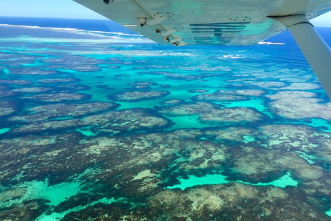 Kalbarri, Pink Lake And Abrolhos Islands Nature Tour - Pubs Perth 5