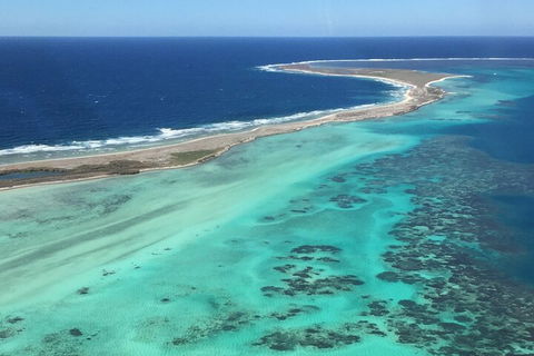 Pink Lake + Abrolhos Islands Nature Tour - Pubs Perth 2