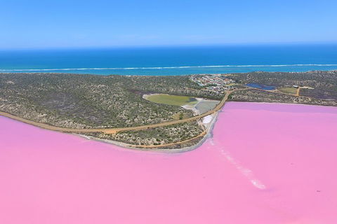 Pink Lake + Abrolhos Islands Nature Tour - Pubs Perth 4