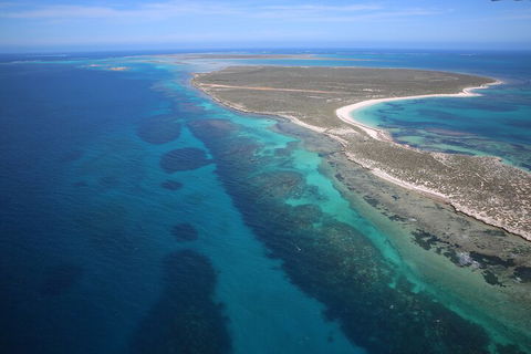 Pink Lake + Abrolhos Islands Scenic Flight - Pubs Perth 0