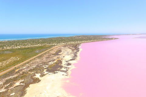 Pink Lake + Abrolhos Islands Scenic Flight - Pubs Perth 4