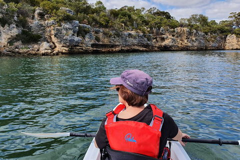 Cliffs And Caves Kayak Tour In Swan River - Pubs Perth 0