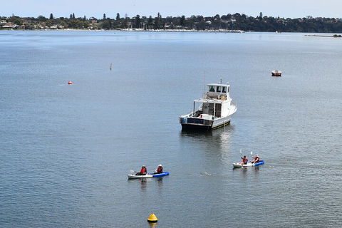 Cliffs And Caves Kayak Tour In Swan River - Pubs Perth 2