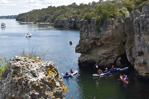 Cliffs And Caves Kayak Tour In Swan River - Pubs Perth 5