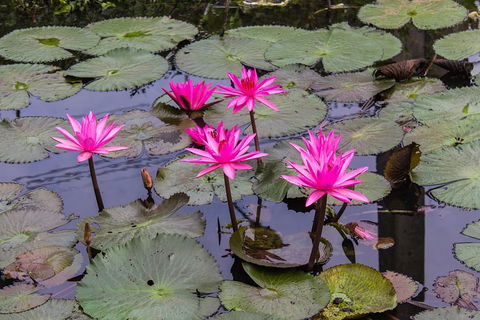Kakadu, Nourlangie And Yellow Waters Tour From Darwin - Pubs Perth 1