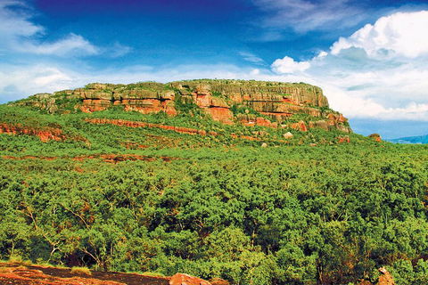 Kakadu, Nourlangie And Yellow Waters Tour From Darwin - Pubs Perth 3