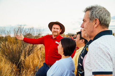Uluru (Ayers Rock) Sunset With Outback Barbecue Dinner And Star Tour - Pubs Perth 3