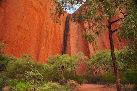 Uluru Sunrise And Guided Base Walk - Pubs Perth 3