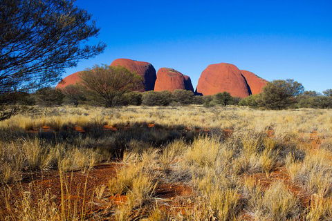 Kata Tjuta Sunrise And Valley Of The Winds Half-Day Trip - Pubs Perth 1