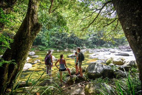 Private Daintree Mossman Gorge Exclusive Nature And Wildlife Focus - Pubs Perth 5