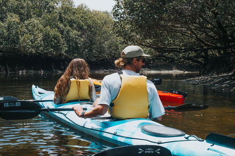 Kayak Tour In Adelaide Dolphin Sanctuary - Pubs Perth 2