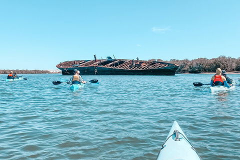 Kayak Tour In Adelaide Dolphin Sanctuary - Pubs Perth 3
