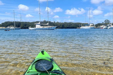Kayak Tour In Adelaide Dolphin Sanctuary - Pubs Perth 4