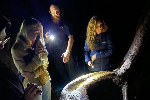 Evening Rainforest & Glow Worm Experience - Pubs Perth 2