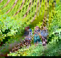Tasmanian Wine Tour - Pubs Perth