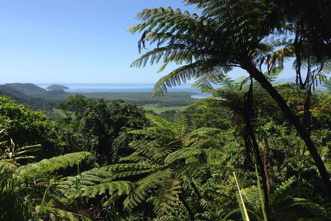 Daintree And Cape Tribulation Full Day Guided Tour - Pubs Perth 2