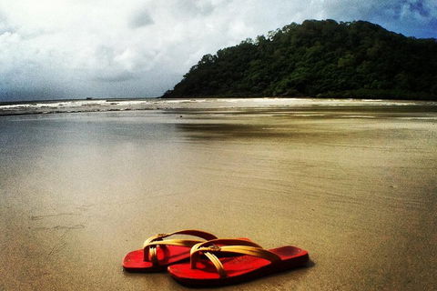 Daintree And Cape Tribulation Full Day Guided Tour - Pubs Perth 4