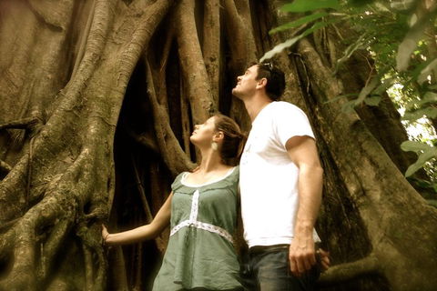 Daintree And Cape Tribulation Full Day Guided Tour - Pubs Perth 5
