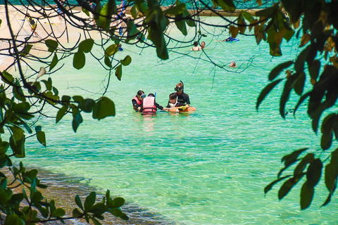 Green Island Day Trip From Cairns - Pubs Perth 2