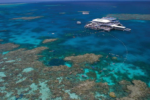 Quicksilver Outer Great Barrier Reef Snorkel Cruise From Port Douglas - Pubs Perth 3