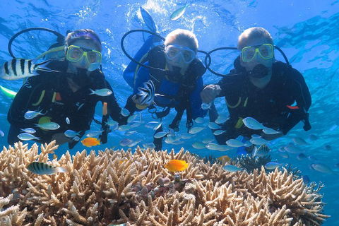 Quicksilver Outer Great Barrier Reef Snorkel Cruise From Port Douglas - Pubs Perth 4
