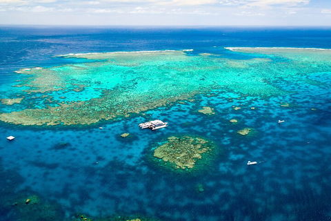 Quicksilver Outer Great Barrier Reef Snorkel Cruise From Port Douglas - Pubs Perth 5