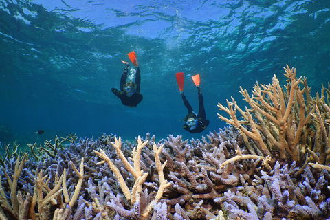 Silversonic Outer Great Barrier Reef Dive And Snorkel Cruise From Port Douglas - Pubs Perth 4