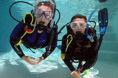 Quicksilver Dive 4 Day PADI Learn To Dive Course - Pubs Perth 2