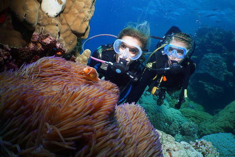 Quicksilver Dive 4 Day PADI Learn To Dive Course - Pubs Perth 4