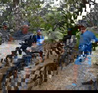 Fully guided E-Mountain Bike Tour on the beautiful Mornington Peninsula. - Pubs Perth