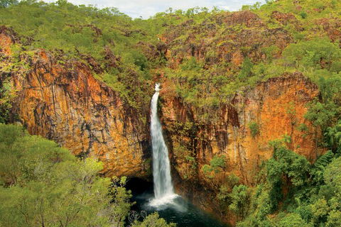 7 Days Darwin, Kakadu National Park, Katherine Gorge Touring Package - Pubs Perth 3