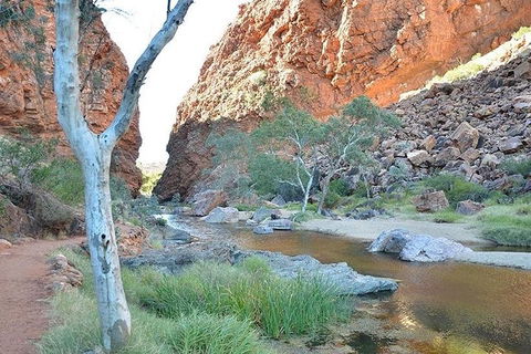 Alice Springs, Uluru Ayers Rock & Kings Canyon 8 Days Touring Package - Pubs Perth 2