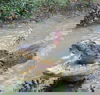 Top End Waterfalls and Wetlands - Pubs Perth