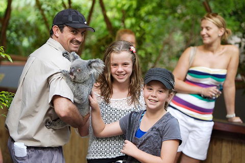 Hartley's Crocodile Adventure Half-Day Tour - Pubs Perth 3