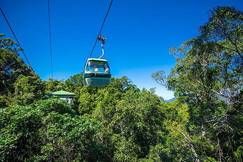 Skyrail Rainforest Cableway Day Trip From Cairns - Pubs Perth 1