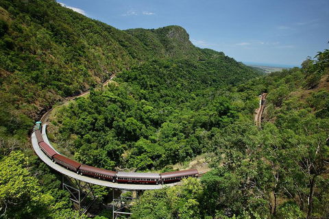 Skyrail Rainforest Cableway Day Trip From Cairns - Pubs Perth 5