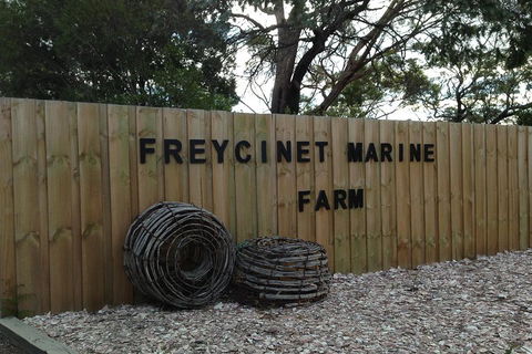 Active Day Tour One-Way From Launceston To Hobart Via Wineglass Bay - Pubs Perth 3