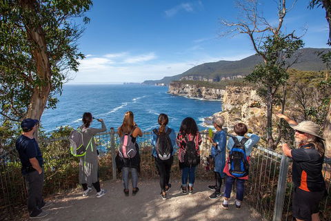 Historic Port Arthur Day Trip From Hobart Including Cliff-Top Walk To Waterfall Bay - Pubs Perth 0