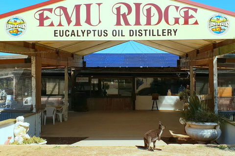 Full-Day Kangaroo Island Safari From Penneshaw - Pubs Perth 2