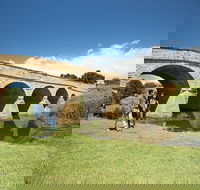 Bonorong Wildlife Park and Richmond Afternoon Tour from Hobart - Pubs Perth