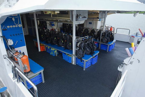 Silverswift Outer Great Barrier Reef Dive And Snorkel Cruise From Cairns - Pubs Perth 0