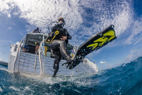 Silverswift Outer Great Barrier Reef Dive And Snorkel Cruise From Cairns - Pubs Perth 1