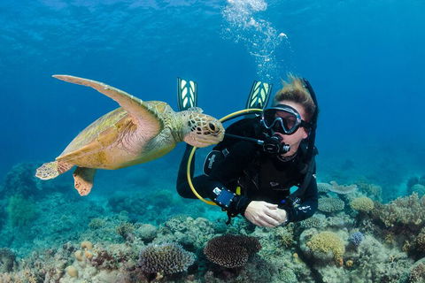 Silverswift Outer Great Barrier Reef Dive And Snorkel Cruise From Cairns - Pubs Perth 2