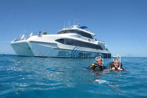 Silverswift Outer Great Barrier Reef Dive And Snorkel Cruise From Cairns - Pubs Perth 4