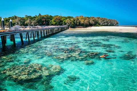 Green Island Discovery Including Glass Bottom Boat Tour Departing Cairns - Pubs Perth 4