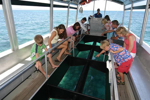 Green Island Discovery Including Glass Bottom Boat Tour Departing Cairns - Pubs Perth 5