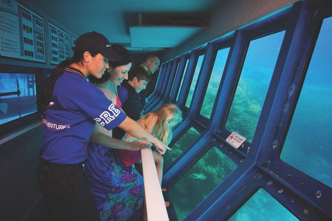 Great Barrier Reef Adventure From Cairns - Pubs Perth 0